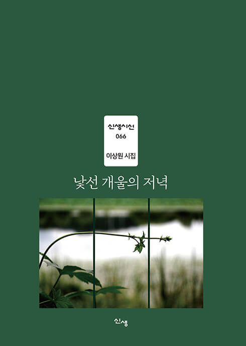 낯선 개울의 저녁